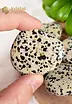 Dalmatian Jasper Pocket Stones - Size M