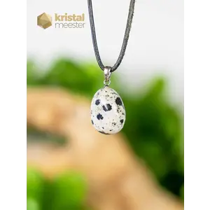 Dalmatian Jasper Pendant with silver loop