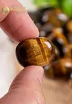 Tiger Eye Tumbled Stones - Size S