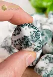 Tree Agate Tumbled Stones - size M