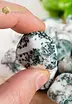 Tree Agate Tumbled Stones - size M