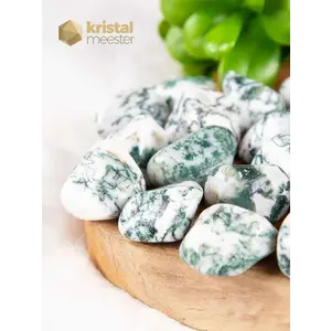 Tree Agate Tumbled Stones - size M