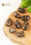 Stromatolite Tumbled Stones - size M