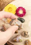 Ocean Jasper Tumbled Stones