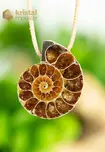 Ammonite Pendant, drilled - no. 1