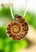 Ammonite Pendant, drilled - no. 1