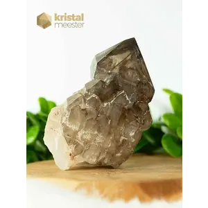 Elestial Smokey Quartz (crocodile quartz) point - no. 1