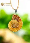 Ammonite Pendant with silver loop - no. 5