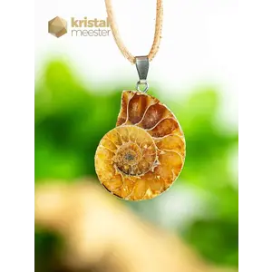 Ammonite Pendant with silver loop - no. 5