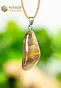Petrified Wood pendant with silver loop - no. 3