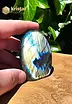 Labradorite freeform - no. 8