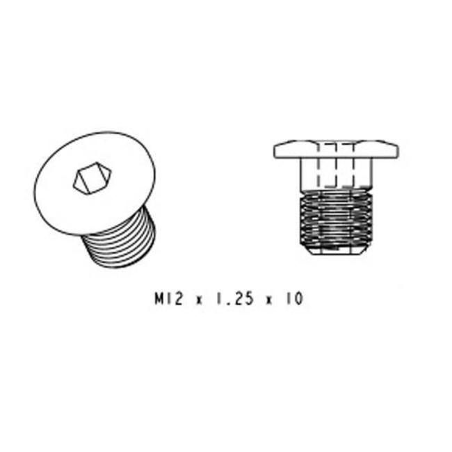 LEVO FSR G2 BATTERY BOLT, M12x1.25x10