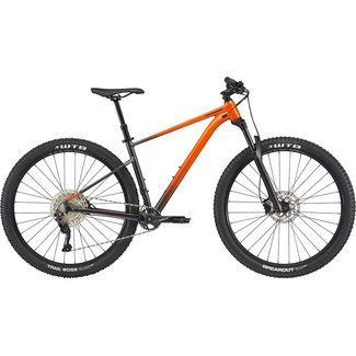 Cannondale 29 M TRAIL SE 3 IOR LG