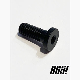 TCU SCREW M4X0.7X10, TORX, BLK