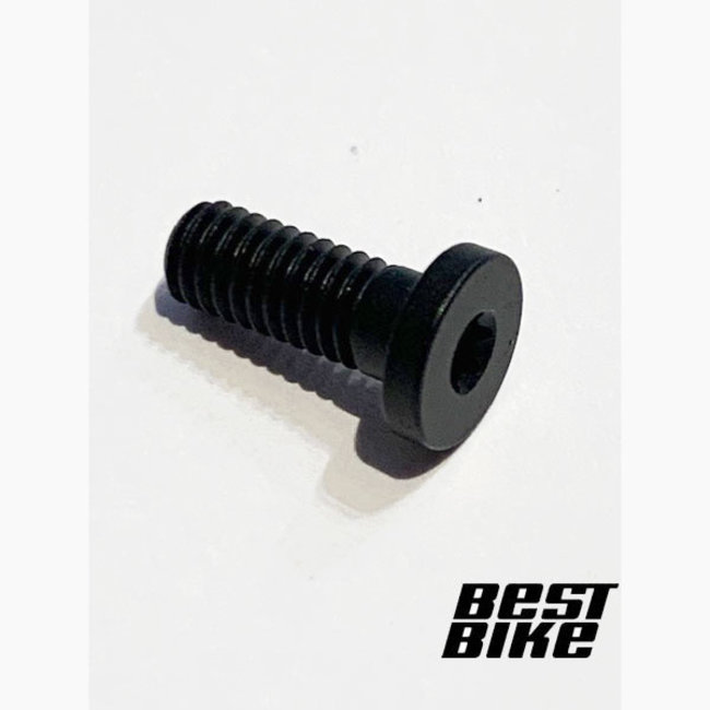 TCU SCREW M4X0.7X10, TORX, BLK