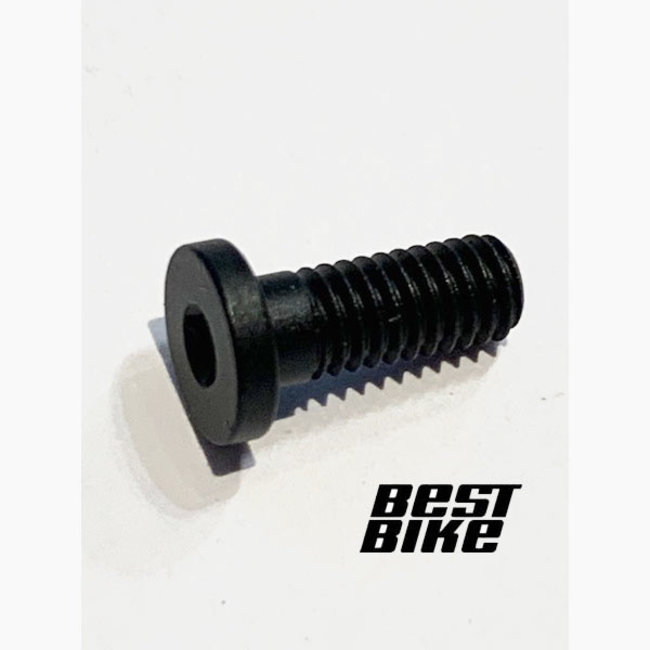 TCU SCREW M4X0.7X10, TORX, BLK