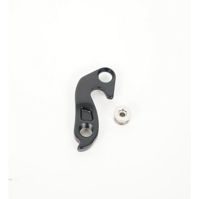 Rear derailleur hanger, with bolt