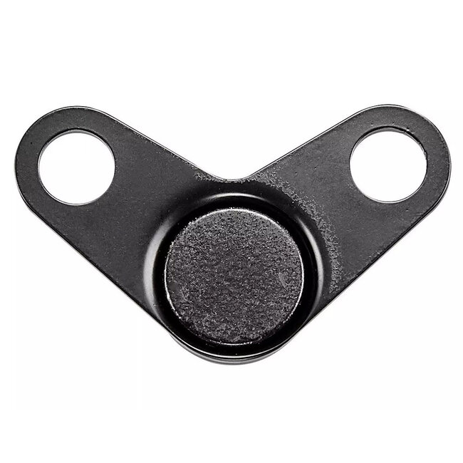 SPEED SENSOR MAGNET 6-BOLT, FOR ENVIOLO IGH, W/O BOLTS