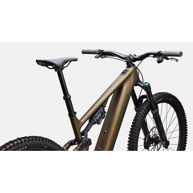 LEVO EXPERT CARBON G4 SATIN BURND GOLD METALLIC