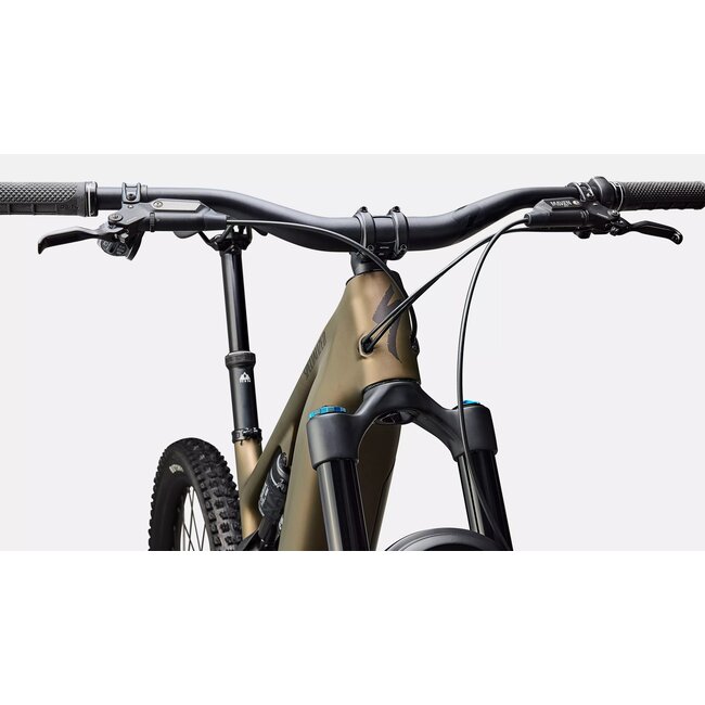 LEVO EXPERT CARBON G4 SATIN BURND GOLD METALLIC