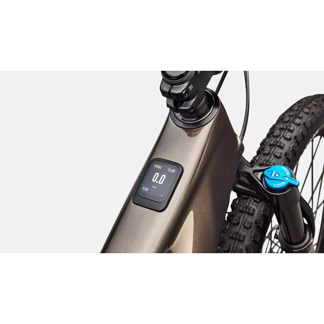 LEVO R COMP GUN/WHTMTN S4 - 29