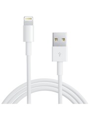iPadspullekes.nl Lightning USB oplaad kabel (1 meter)