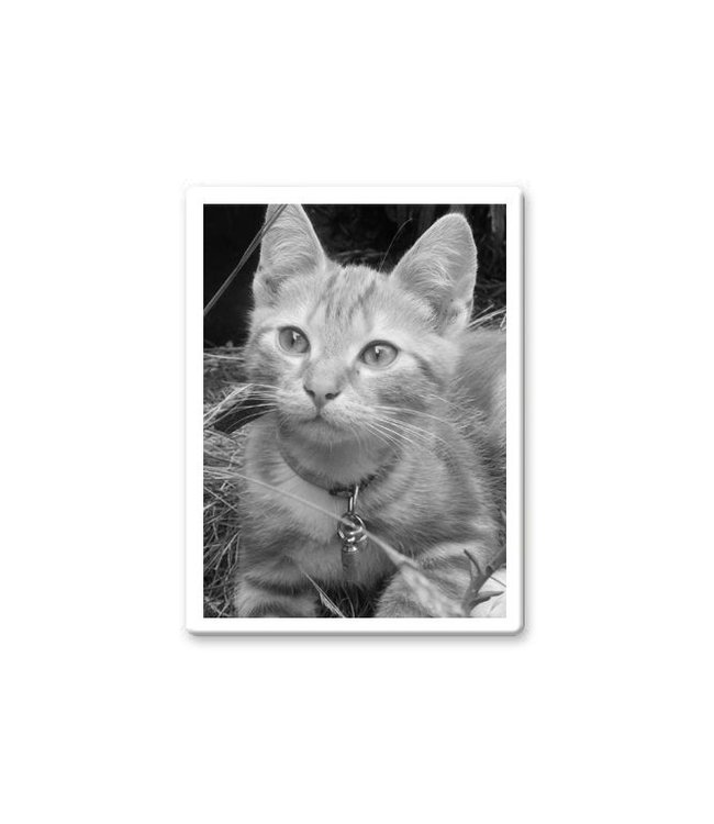 Foto op porselein rechthoek met witte rand