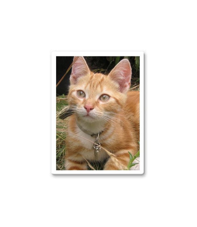 Foto op porselein rechthoek met witte rand