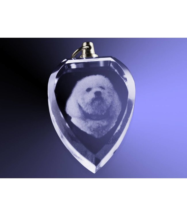 2D foto in glas - Hanger hart - Kristal Glas