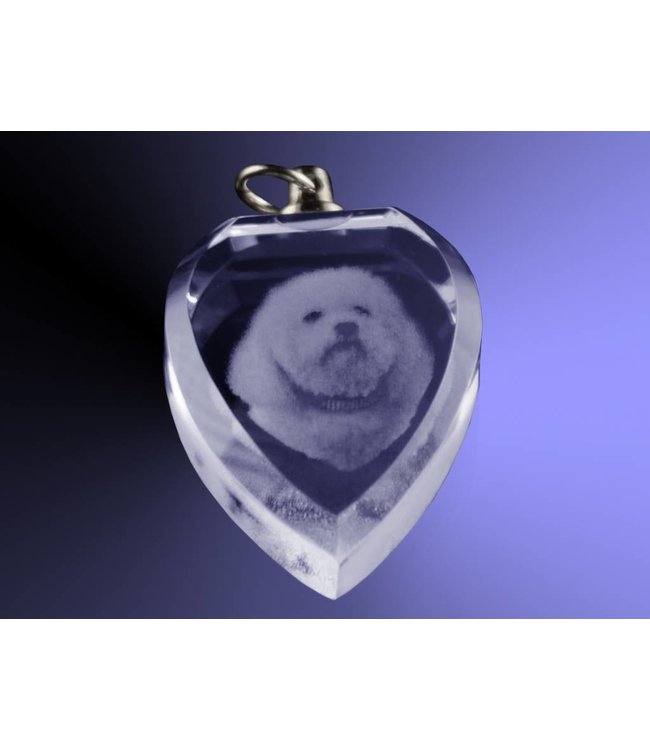 2D foto in glas - Hanger hart - Kristal Glas