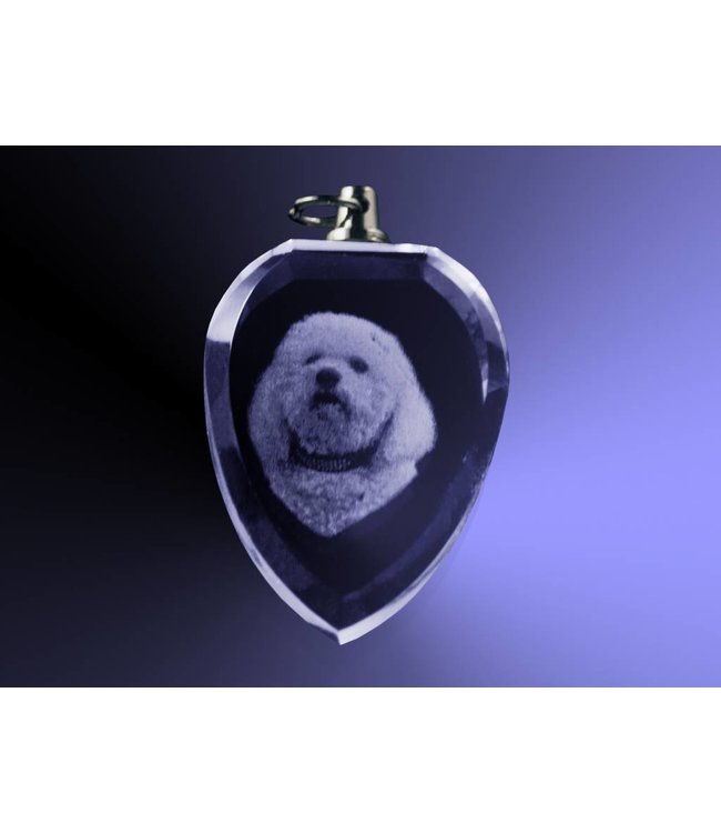 2D foto in glas - Hanger hart - Kristal Glas