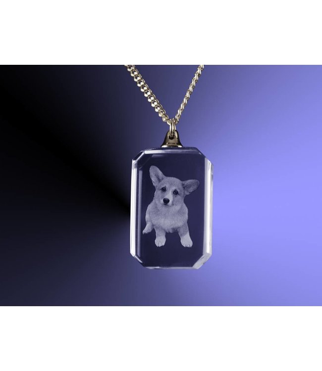 2D foto in glas - Hanger rechthoek - Kristal Glas