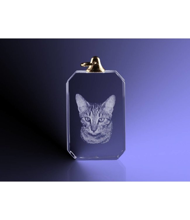 2D foto in glas - Hanger rechthoek - Kristal Glas