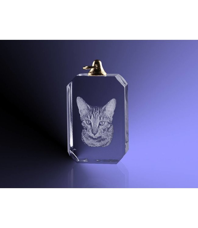 2D foto in glas - Hanger rechthoek - Kristal Glas