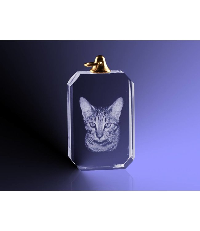 2D foto in glas - Hanger rechthoek - Kristal Glas