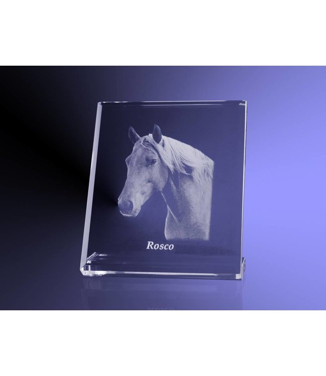 2D foto in glas - Vlakglas facet verticaal - Kristal Glas