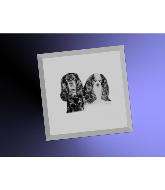 Foto op spiegel vierkant