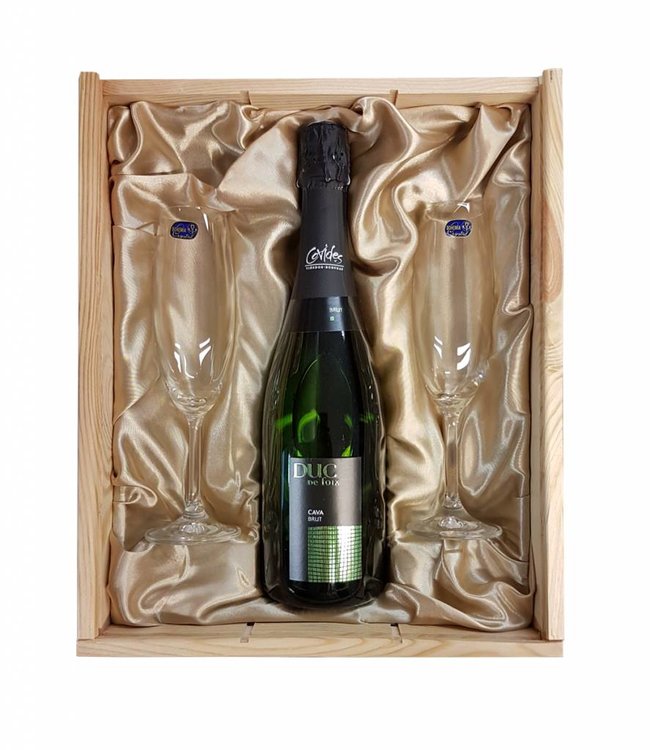 Champagnefles in geschenkkist met 2 champagneglazen - Dux du foix brut