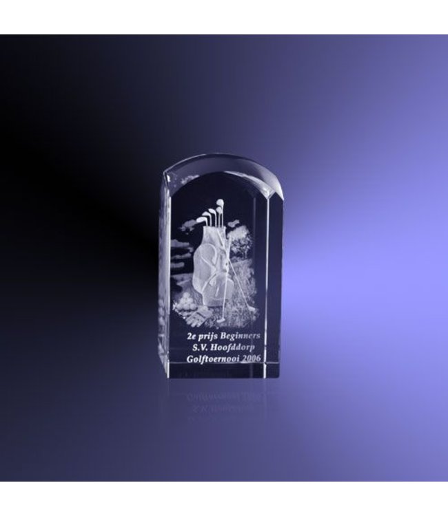 Award "Dome" 4 verschillende modellen