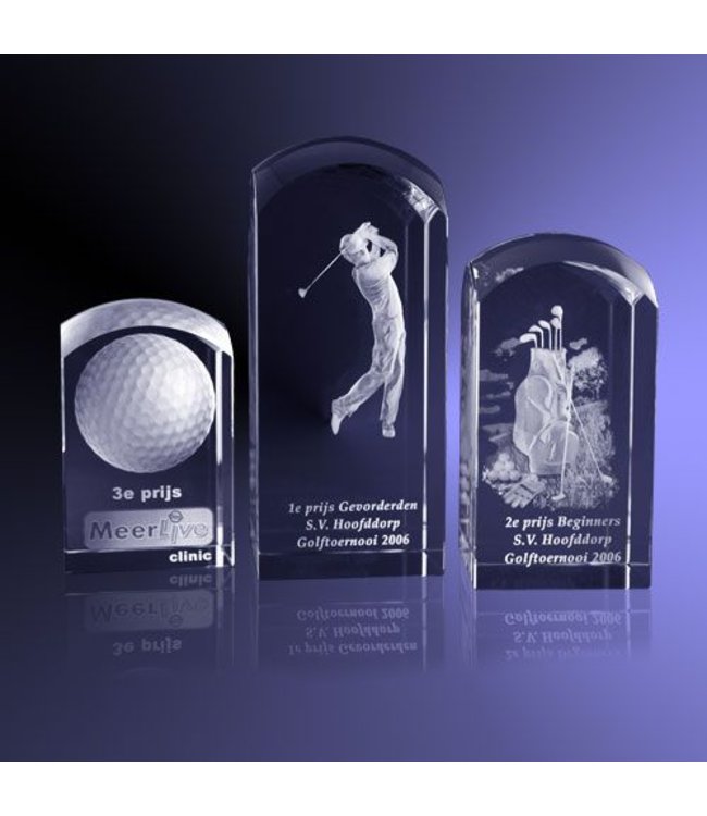 Award "Dome" 4 verschillende modellen