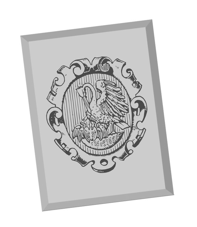 Spiegel rechthoek met eigen familiewapen