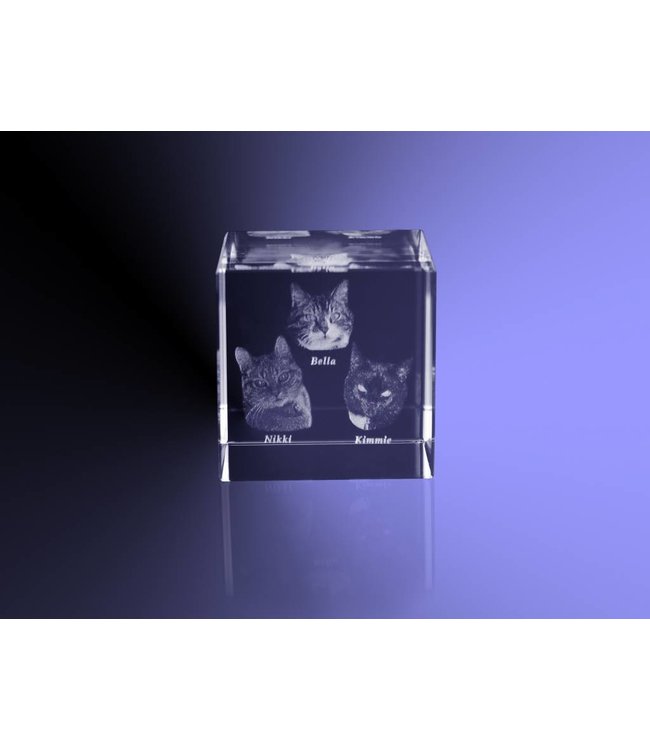 2D foto in glas - Kubus 10 cm - Kristal Glas