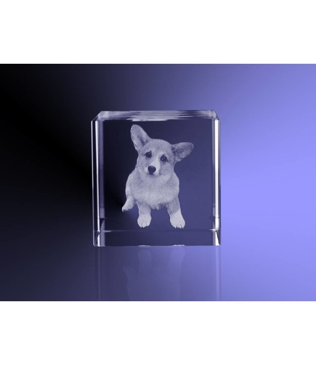 2D foto in glas - Kubus 10 cm - Kristal Glas