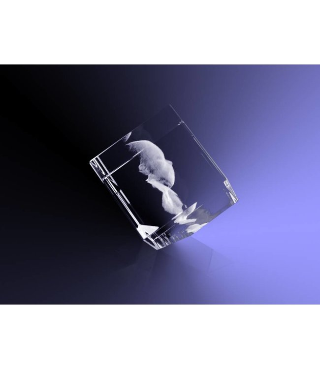 3D foto in glas - Kubus 5 cm staand op hoek - Kristal Glas