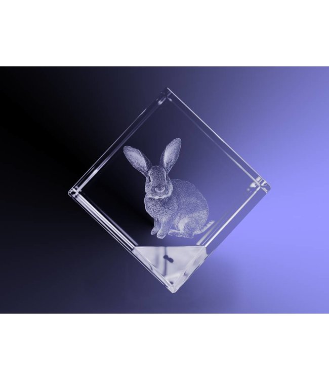 3D foto in glas - Kubus 8 cm staand op hoek - Kristal Glas
