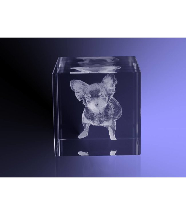 3D foto in glas - Kubus 5 cm - Kristal Glas