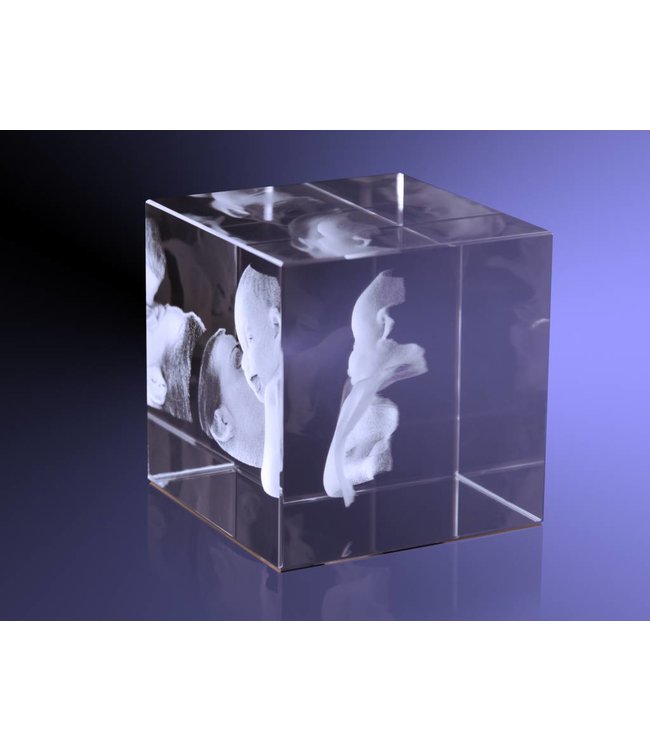3D foto in glas - Kubus 10 cm  - Kristal Glas