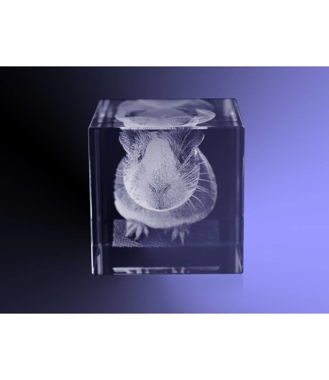 3D foto in glas - Kubus 10 cm  - Kristal Glas