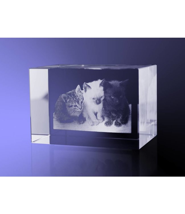 2D foto in glas  - Rechthoek blok 4x3x3 cm - Kristal Glas