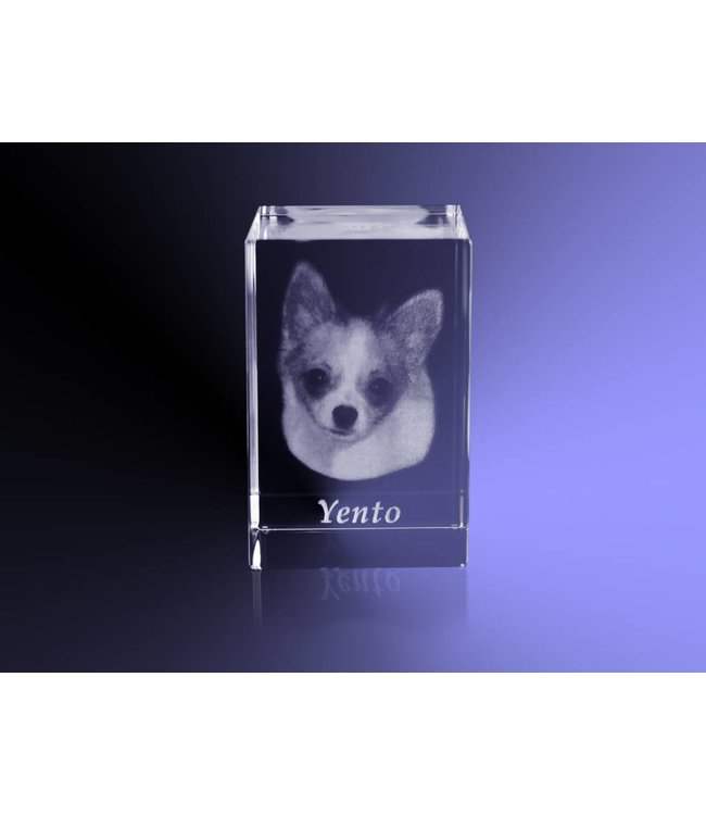 2D foto in glas - Rechthoek blok - 5x5x8 cm - Kristal Glas